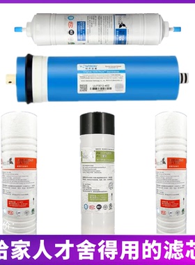 适用史密斯净水器滤芯AR400-A1 TR400-C1 DR-C5 C6F2五级通用套装