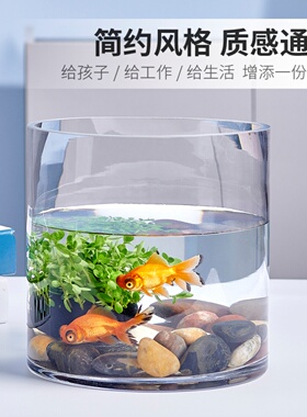 创意客厅金鱼缸玻璃水族箱小型生态圆形圆柱大号乌龟缸造景培装饰