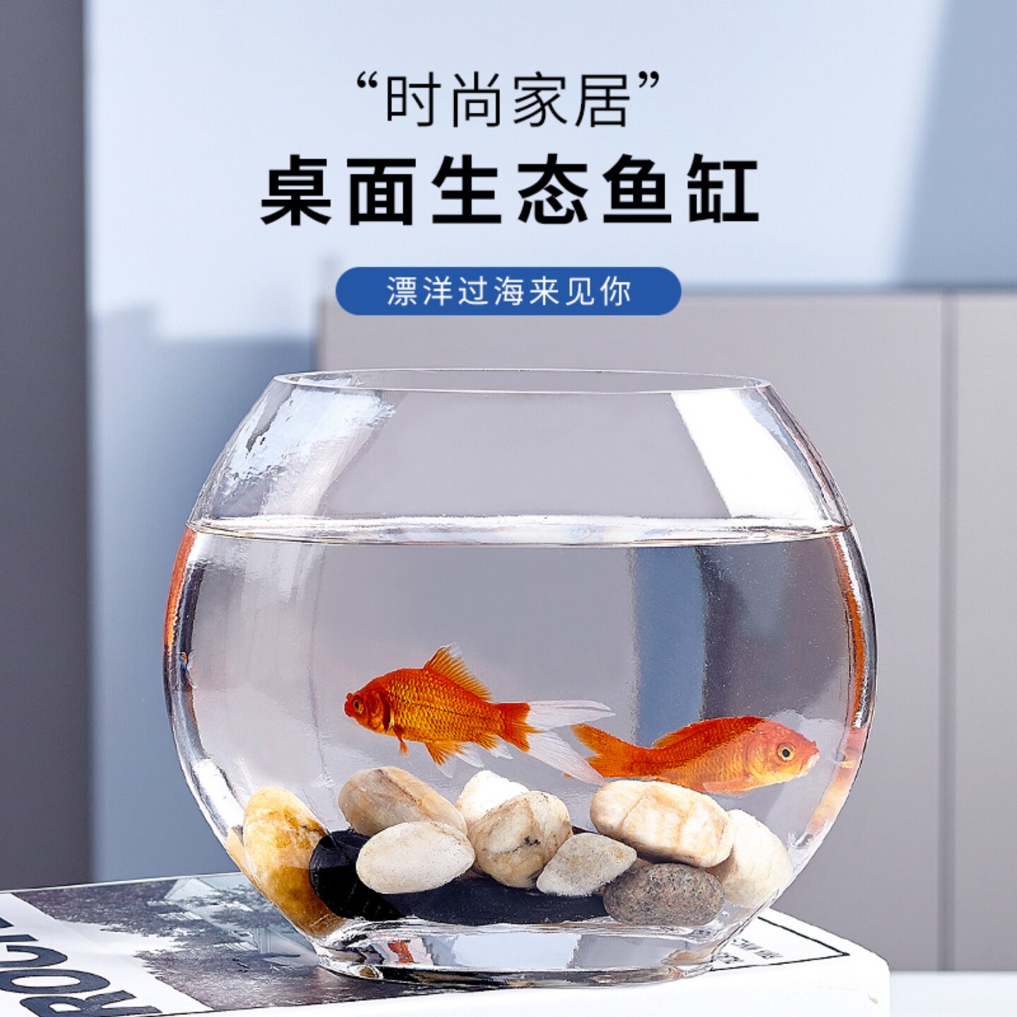 办公室小鱼缸加厚透明玻璃乌龟缸客厅家用桌面扁形迷你小型金鱼缸