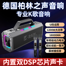 1200W柏林之声户外K歌音响蓝牙重低音炮家庭KTV声卡机广场舞音箱