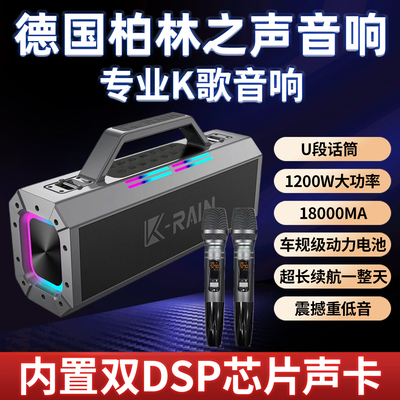 柏林之声家庭K歌音响蓝牙低音炮