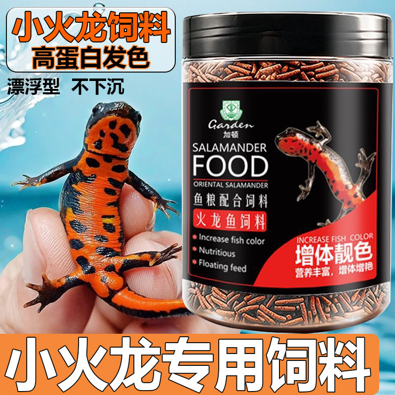 小火龙鱼饲料东方蝾螈鱼食娃娃鱼六角恐龙食物蛋白高缓上浮型鱼粮