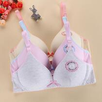 Slip jeunesse simple en coton - Ref 641293 Image 27