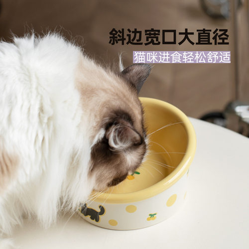 宠物用品陶瓷猫狗碗碗护