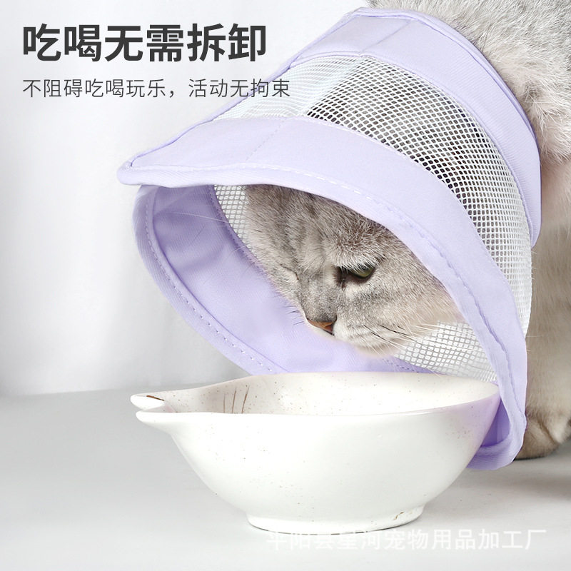 宠物透气伊丽莎白圈猫咪