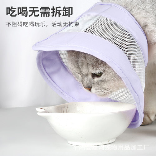 宠物透气伊丽莎白圈猫咪