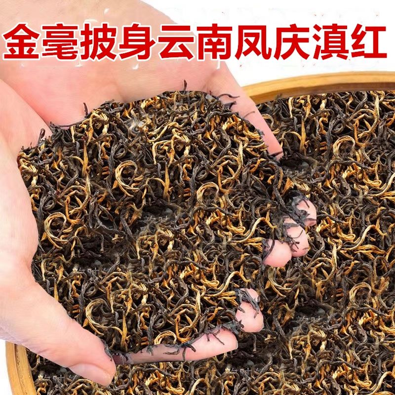 特级滇红茶一级金芽春茶