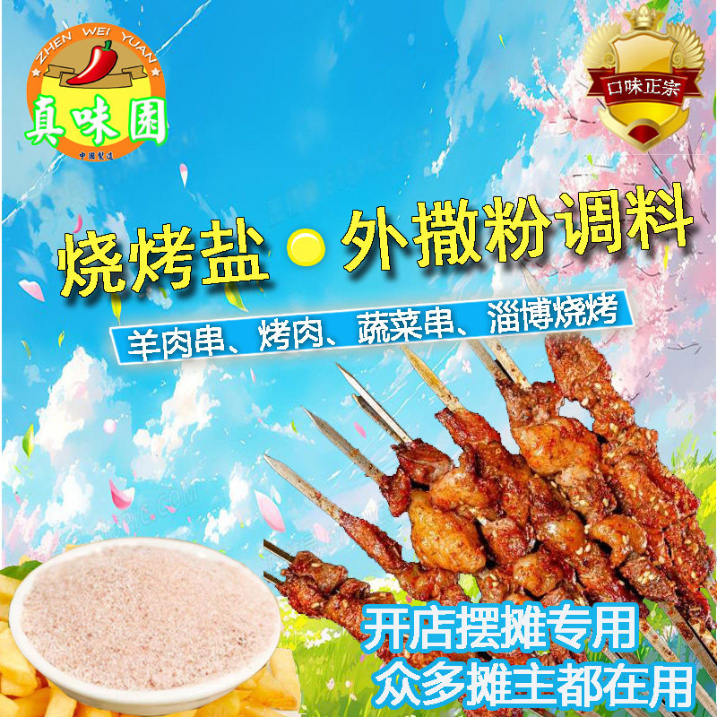 真味园袋装淄博烧烤调味烧烤盐