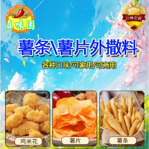 网红撒粉调料真味园薯条盐袋装盐