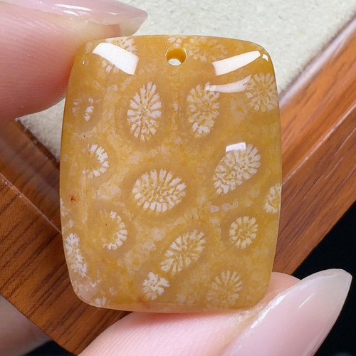 老矿蜜糖冰雏菊花