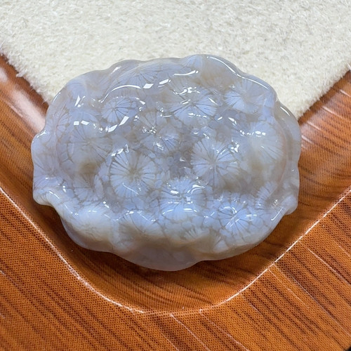 冰润小雏菊花 牡丹花