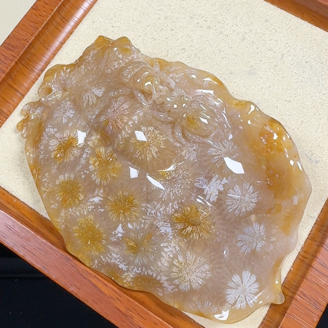 糖冰大花 香插  一叶暴户 富甲天下