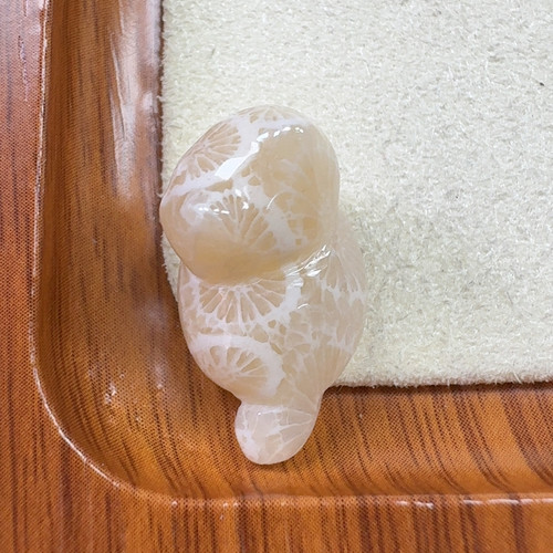 白冰大花通孔猫猫