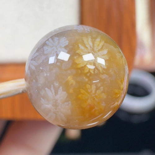 冰小雏菊花 11+
