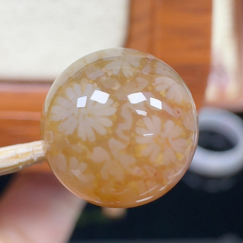 糖冰小雏菊花 10+
