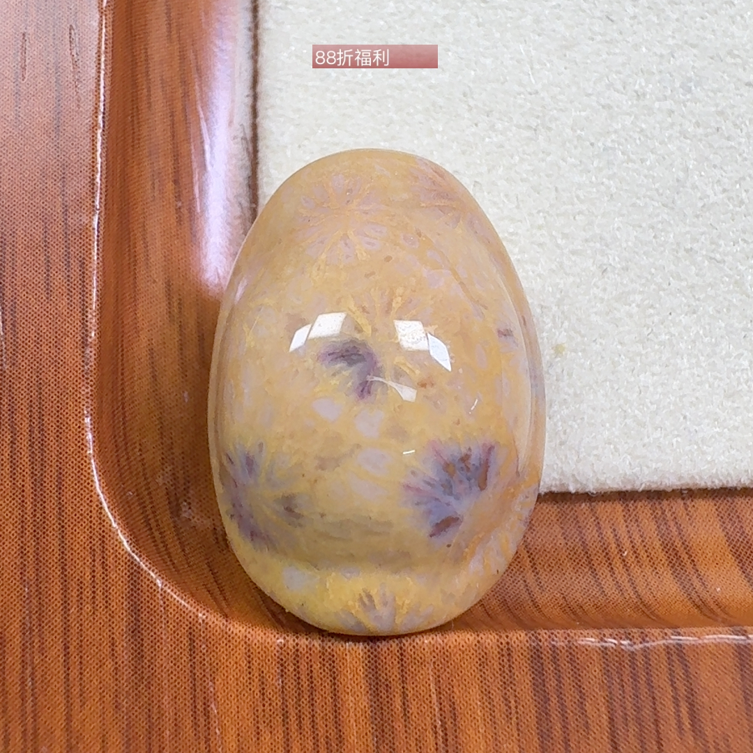 明黄雏菊花 富甲