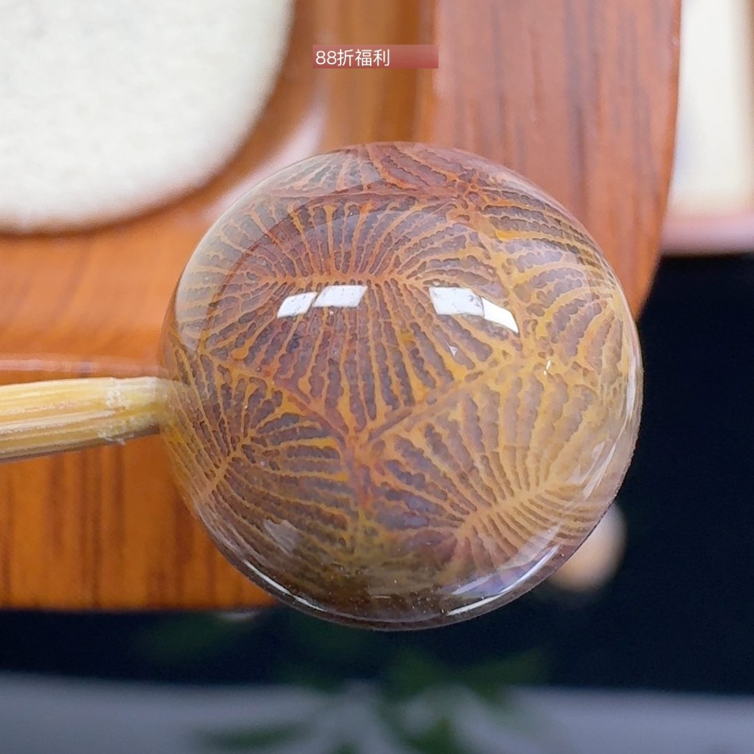 复古羽毛虫虫  13+