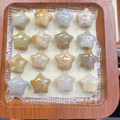 精品星星 20一个可挑选