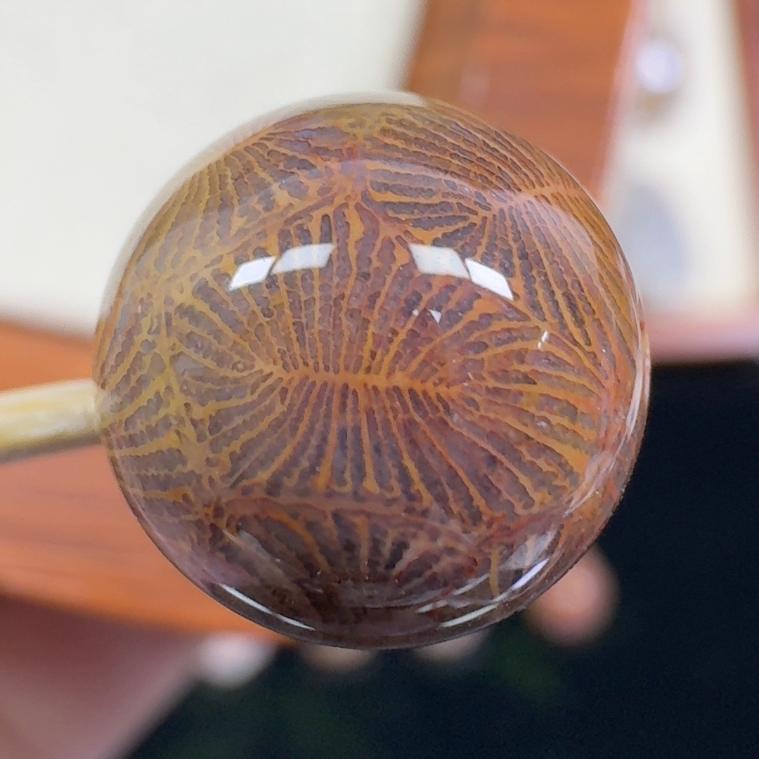 复古彩羽毛虫虫 13+