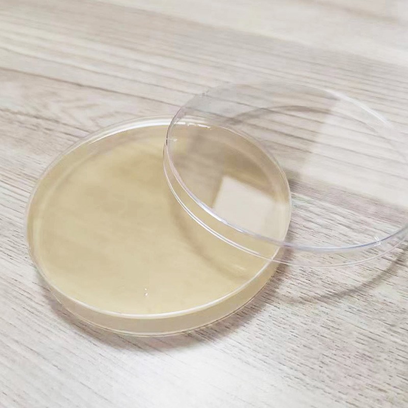 马铃薯葡萄糖琼脂培养基PDA平皿平板90mm9cm无菌即用型培养基包邮