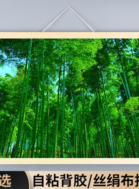竹林壁画自然风景绿色护眼山水