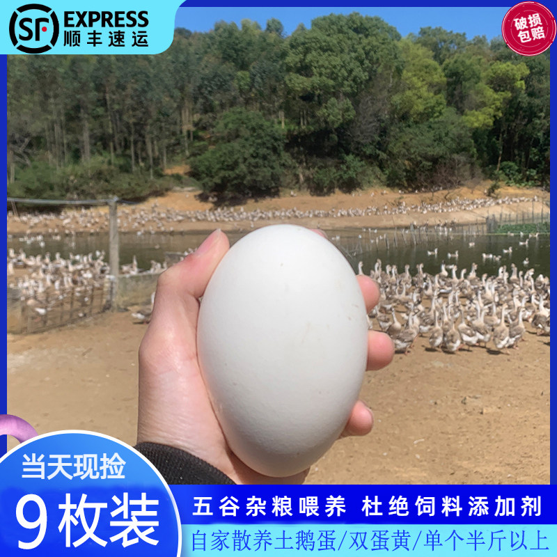 顺丰包邮新鲜农家散养土鹅蛋特大正宗双蛋黄狮头鹅蛋孕妇去胎毒