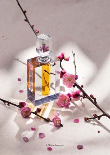 Möbius 莫比乌斯|   白壁青钱 正装  阿芙洛狄忒3ml及30ml补货到