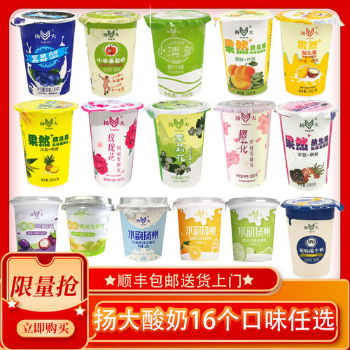 扬大风味酸奶16个口味任选