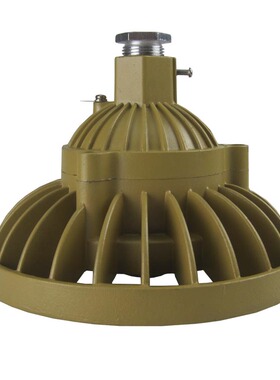 厂家RL110A DC24V/36V 20W/30W 吸顶式 隔爆型防爆LED灯KHD110