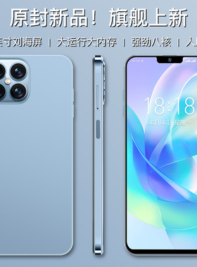 viipoo全新原封官方正品高清护眼大屏电竞游戏备用全网通智能手机