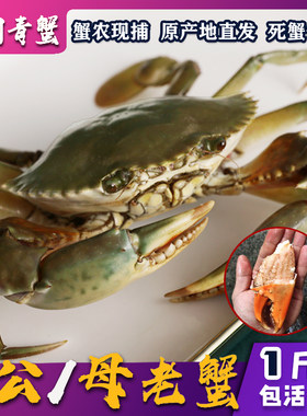 三门青蟹特大公蟹满肉