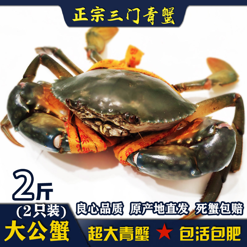 正宗三门青蟹鲜活  肉蟹 特大超大公 老蟹水产品蟹单只1斤