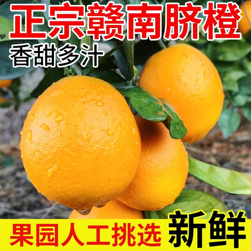 正宗江西赣南脐橙新鲜10斤果园直供店橙子赣州水果当季手剥橙包邮,水产肉类/新鲜蔬果/熟食,橙,淘宝优惠券,粉丝福利购,淘宝优惠卷