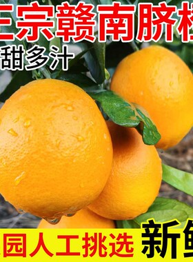 正宗江西赣南脐橙新鲜10斤果园直供店橙子赣州水果当季手剥橙包邮