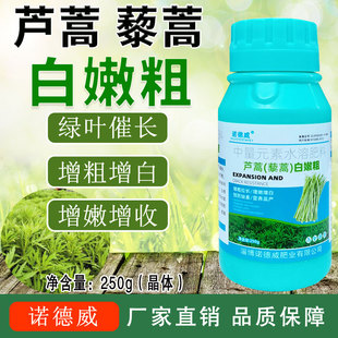 芦蒿白嫩粗叶面肥藜蒿促长剂绿叶促长茎秆粗壮增白增嫩拉直养根