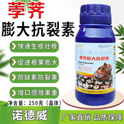 荸荠膨大分裂素马蹄膨大剂积累养分膨大果实健壮植株防裂果增品质