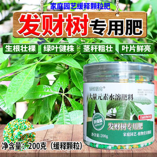 发财树长效缓释肥发财树专用肥绿叶生根健壮植株茎秆粗壮叶片鲜亮