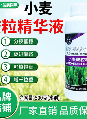 小麦粒粒饱鼓粒精华液小麦叶面肥柯杈拔节穗大穗长促灌浆籽粒饱满