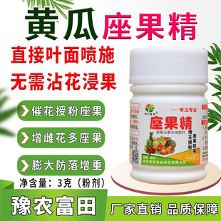黄瓜座果精叶面喷施代替人工授粉黄瓜授粉座果膨果拉直增雌花防落