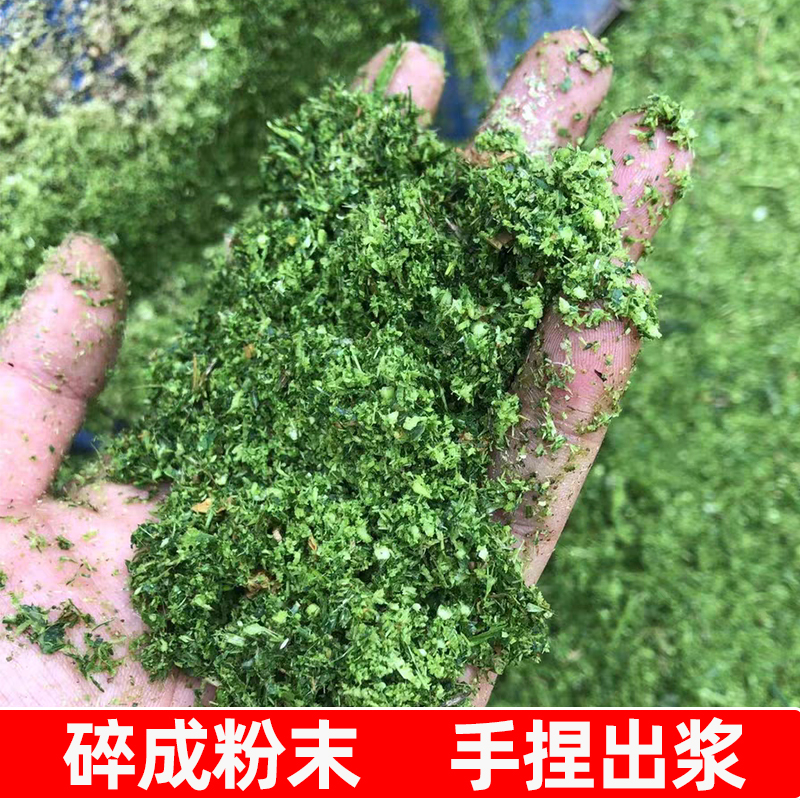 牧草打浆机玉米秸秆皇竹草超细粉碎机小型家用养殖碎草机干湿两用