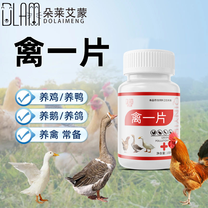 禽一片禽类养殖养殖场鸡鸭鹅兔子禽类饲料添加玄凤鹦鹉鸟类常备