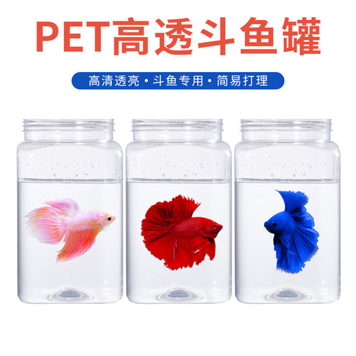 泰国斗鱼1350塑料斗鱼罐斗鱼瓶铝盖斗鱼缸繁殖罐小型观赏鱼生态瓶
