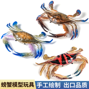 仿真大号螃蟹模型海洋动物玩具梭子蟹红花蟹三点蟹儿童认知摆件男