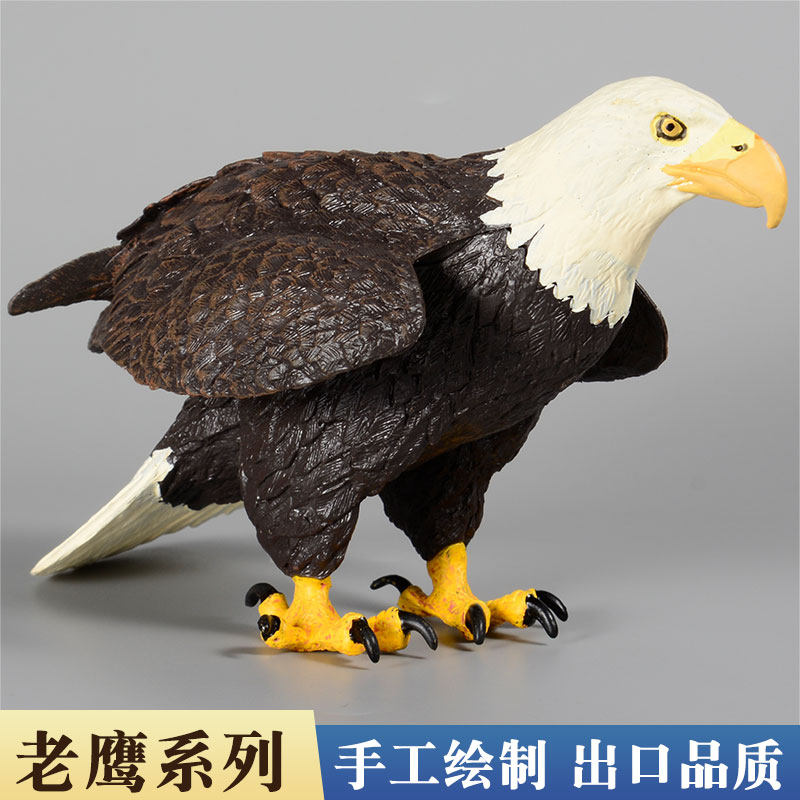 大号老鹰模型仿真飞禽鸟类动物玩具儿童科教男女孩认知摆件白头鹰