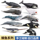 仿真鲸鱼模型海洋动物玩具海底生物蓝鲸白鲸虎鲸灰鲸儿童科教摆件