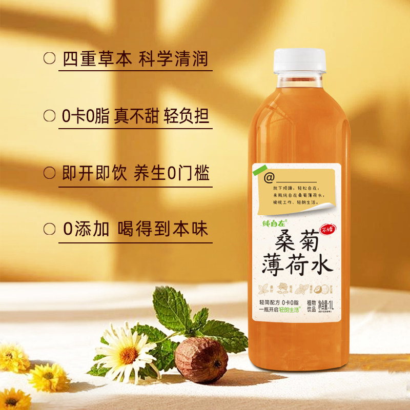 桑菊薄荷水植物饮料0卡0脂免煮