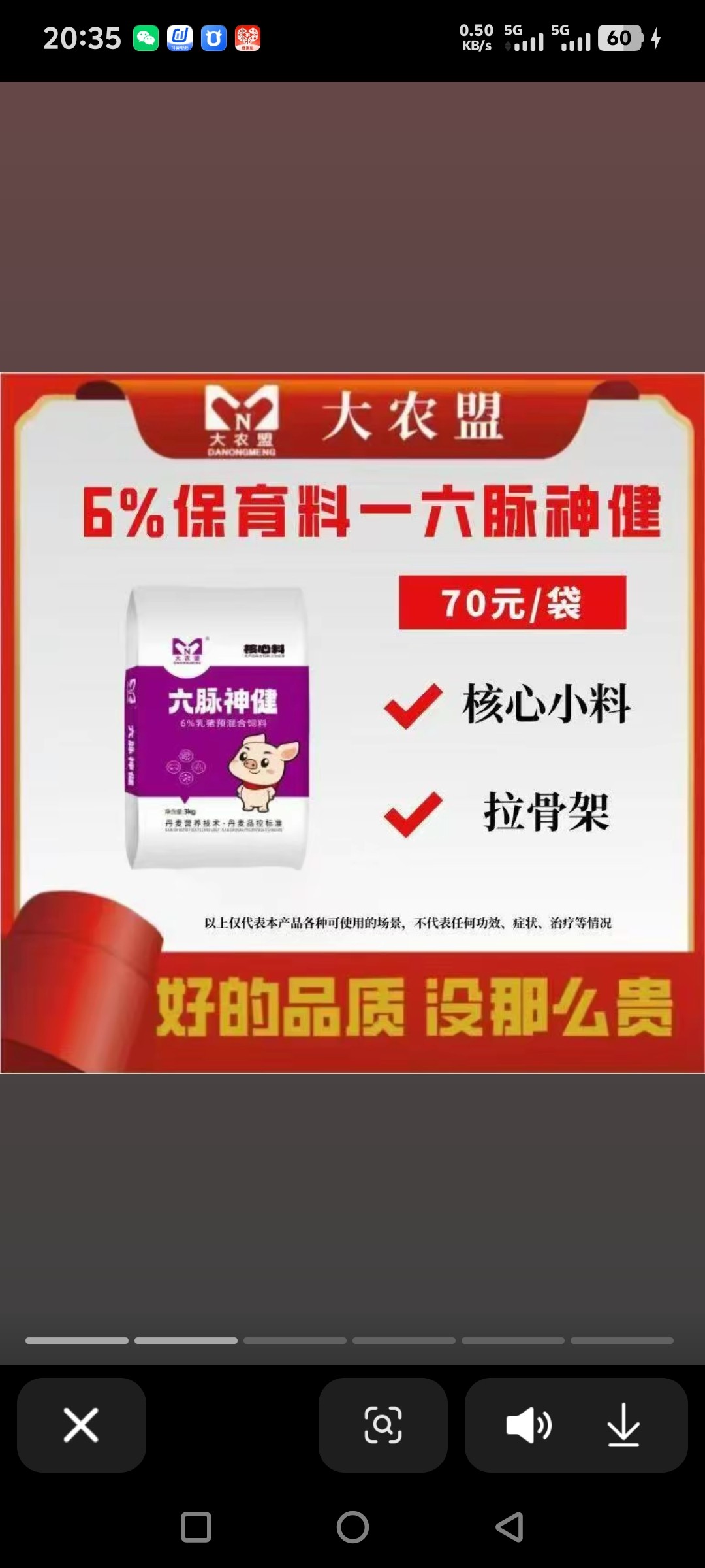 6%六脉神健保育料小猪饲料