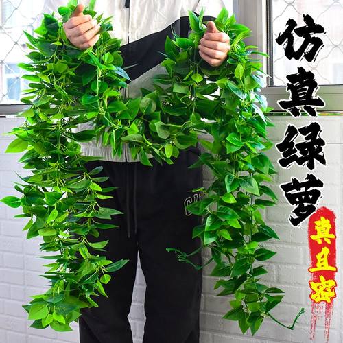 仿真绿萝叶吊顶管道装饰