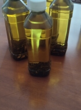 樟木精油泡吴茱萸，受南方地区两广人的爱戴，南方湿气重