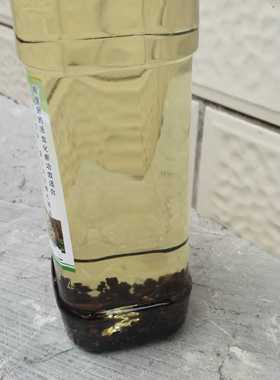 樟木精油泡吴茱萸，很受南方南广地区老年人喜爱